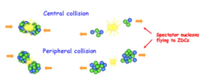 الوصف: nuclei1