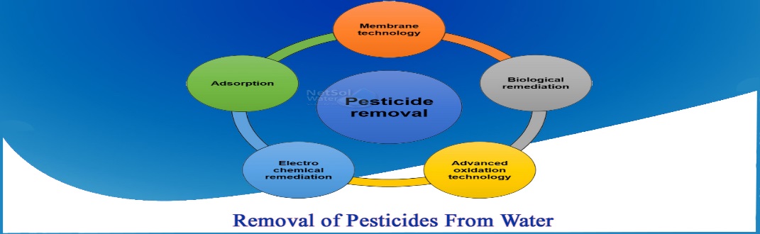 What Are Pesticides and How to Remove